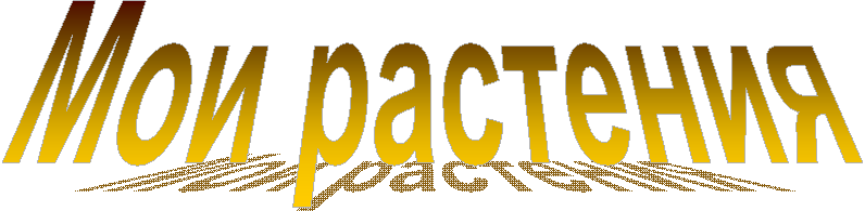 Мои растения